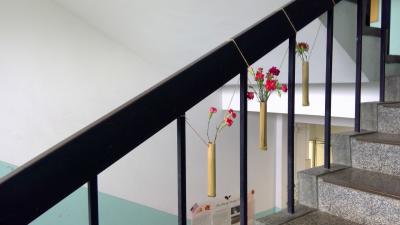 階段花