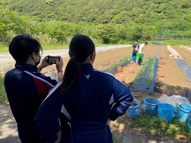 先輩の記録