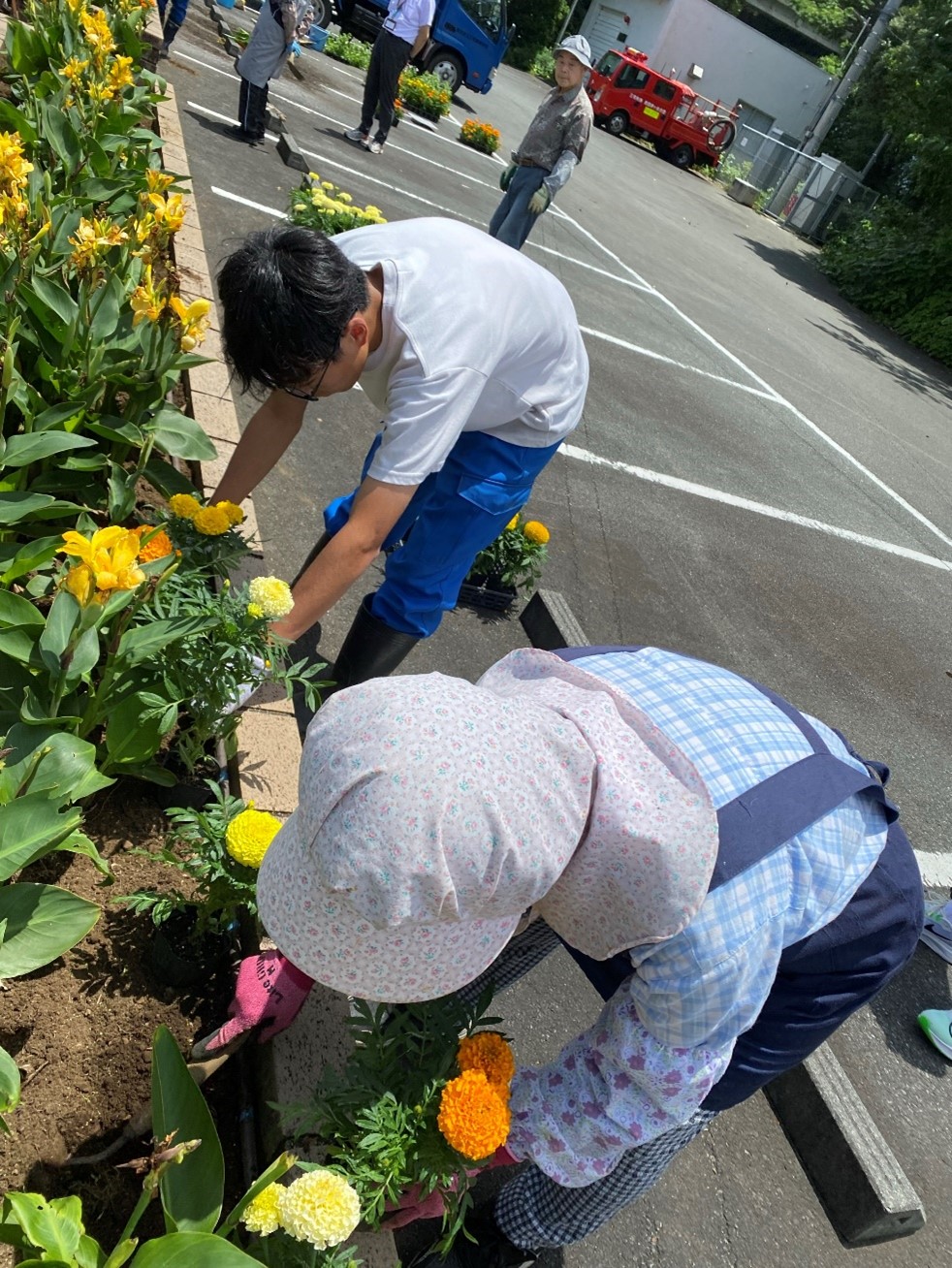 画像5