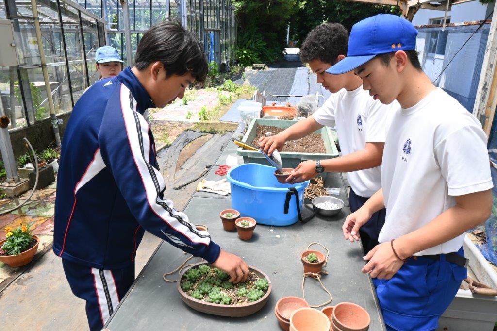 草花２