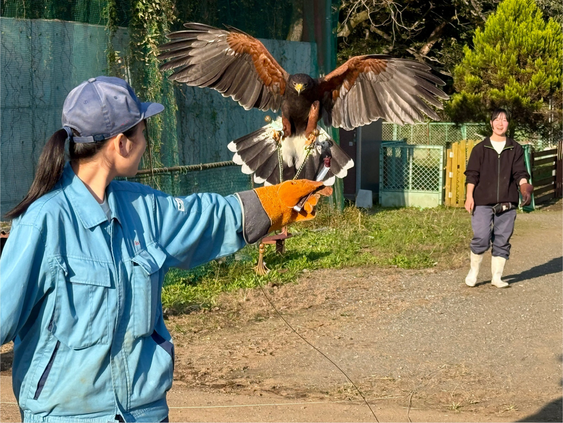 IMG_8054