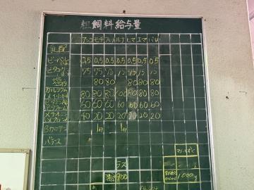 Image (19)