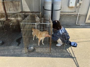 20260514実用動物管理２