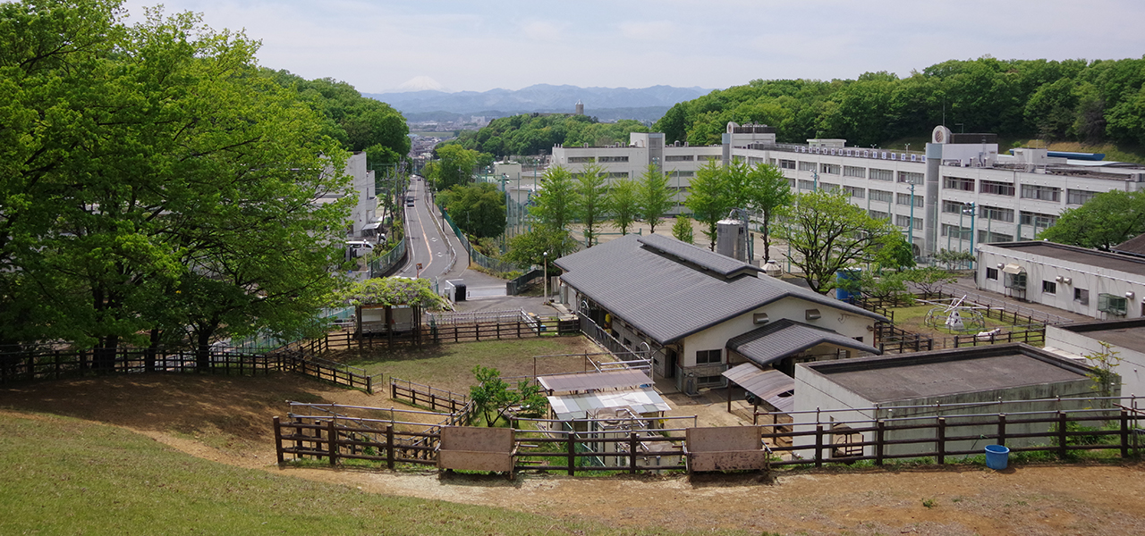 学校写真