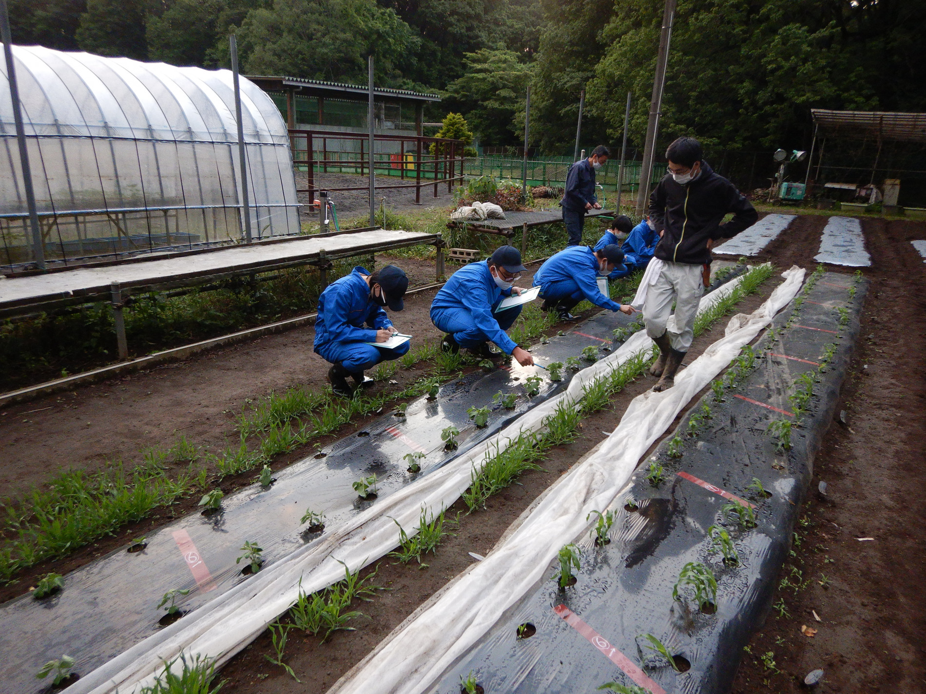DSCN4153.JPG