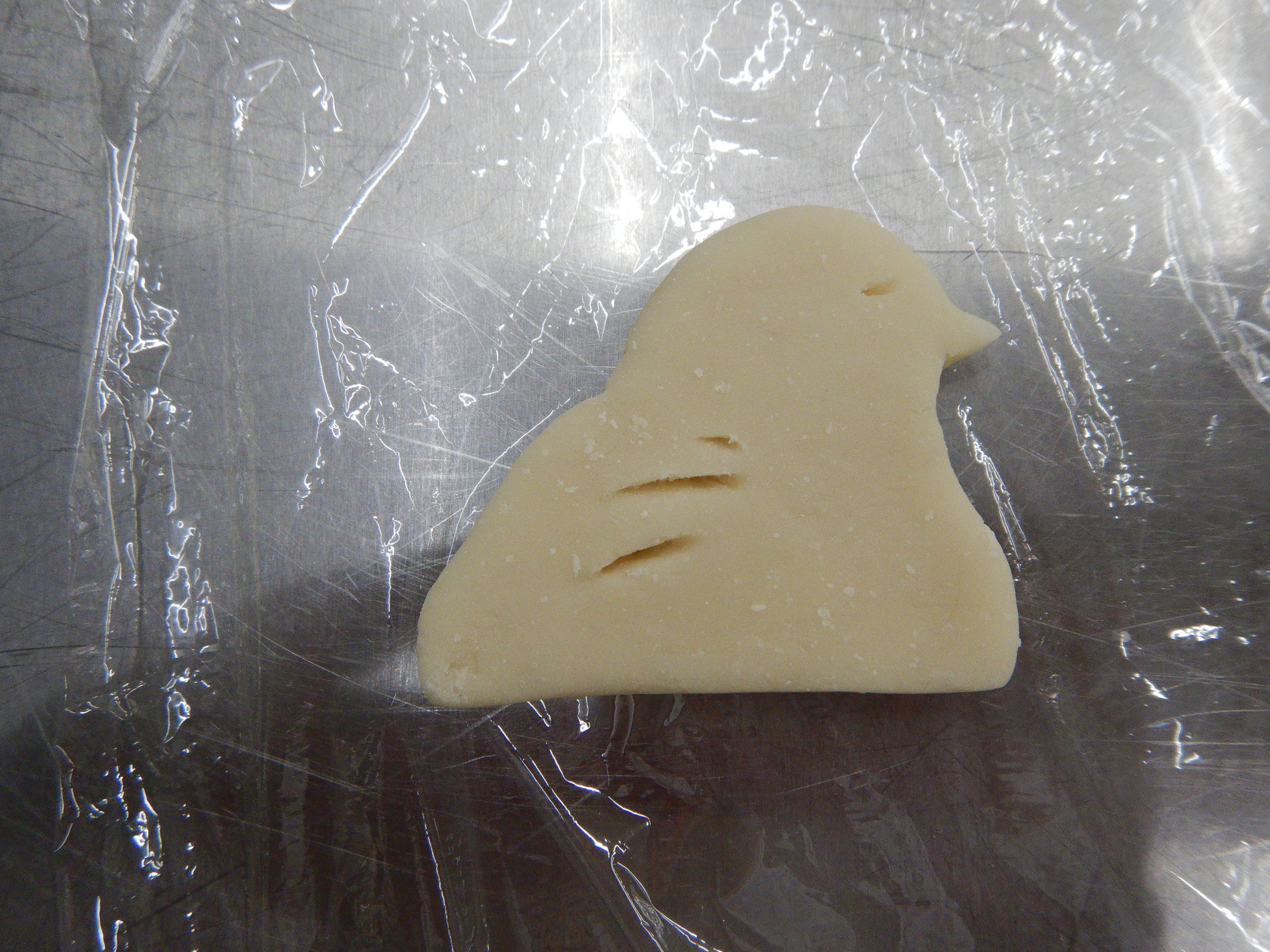 DSCN4167.JPG