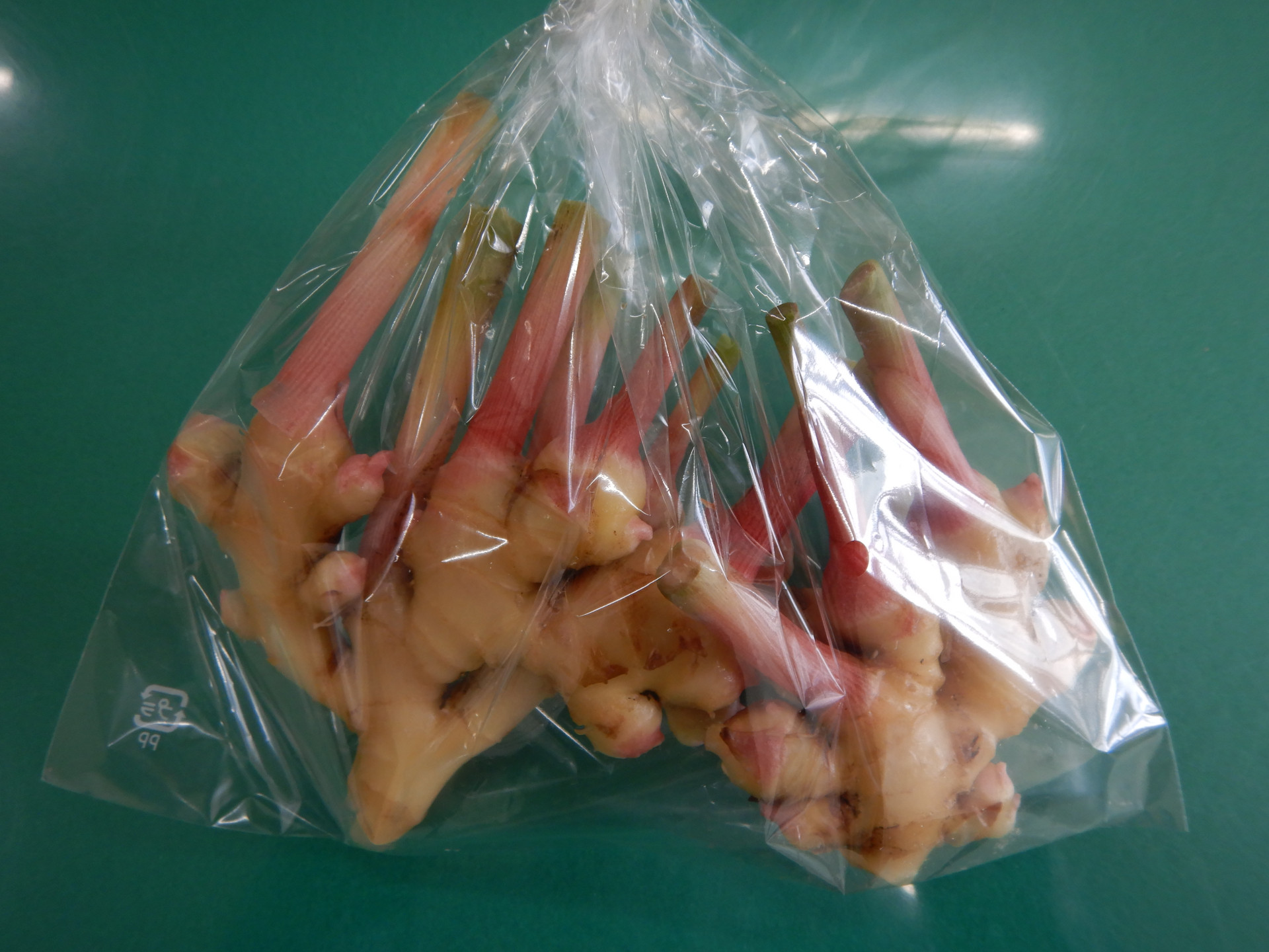 DSCN4557.JPG