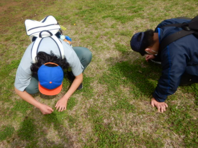 DSCN4881.JPG