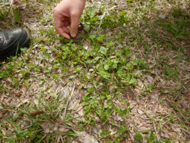 DSCN4883.JPG