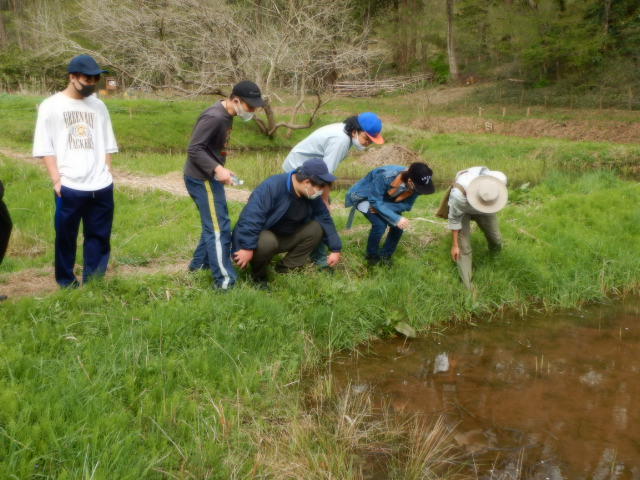DSCN4900.JPG