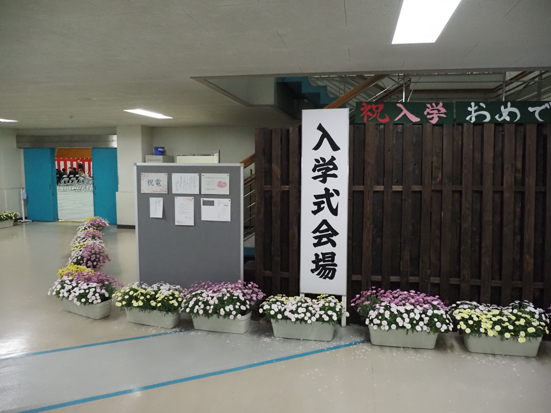 P4097791.JPG