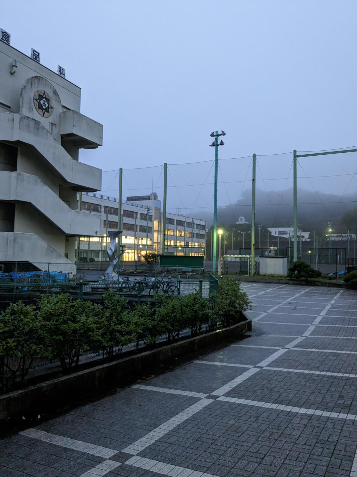 PXL_20230612_100240854