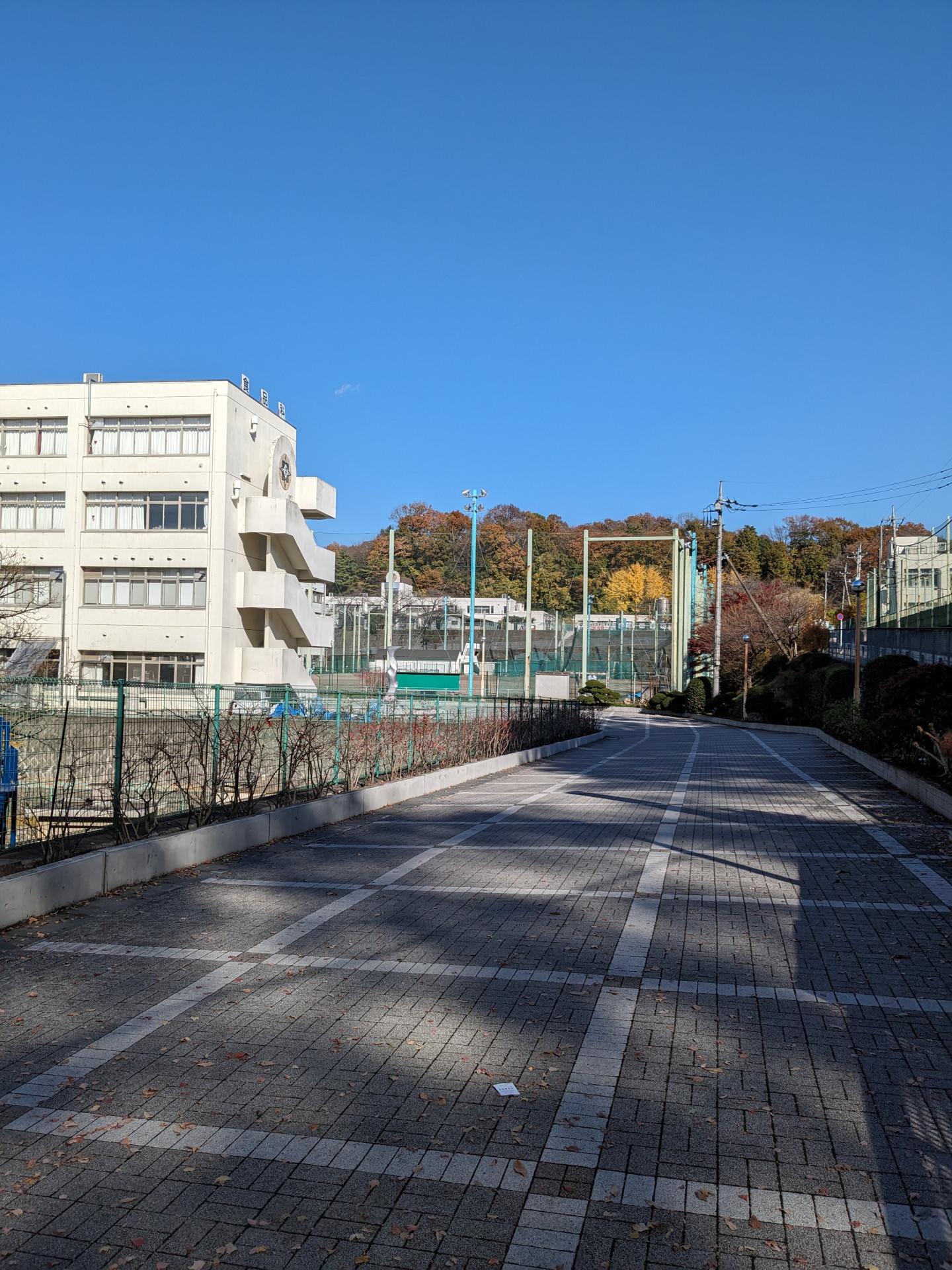 PXL_20231129_032813390