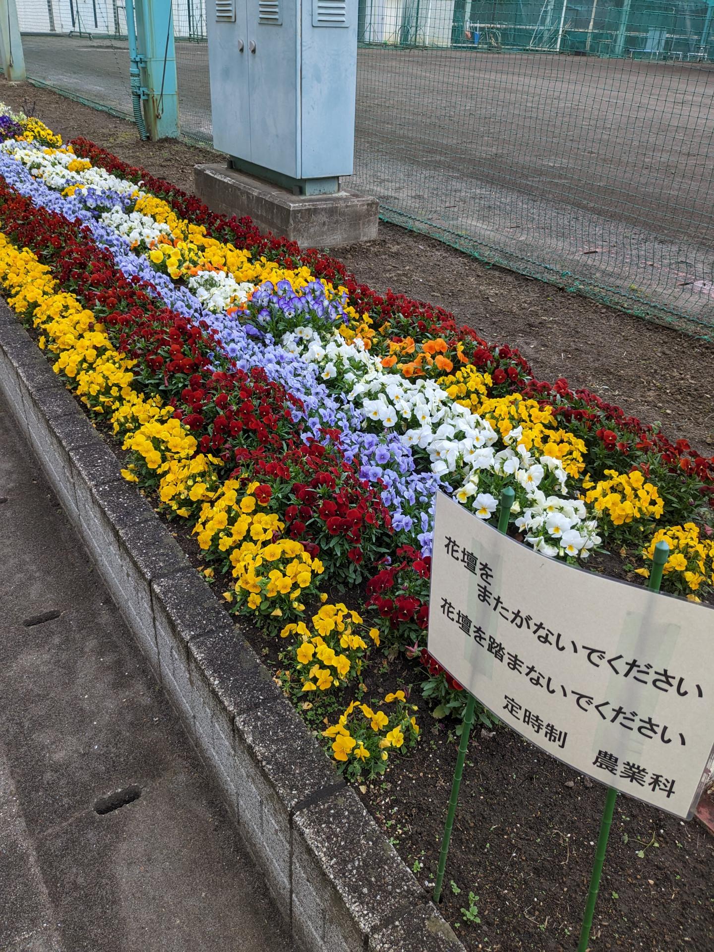 PXL_20240408_080328826