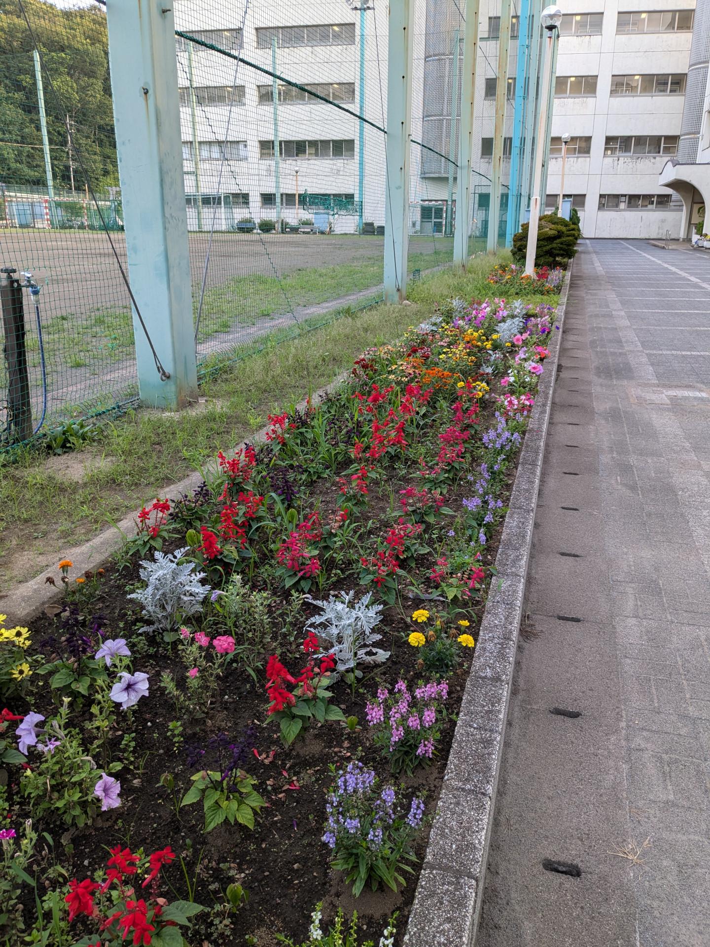 PXL_20240704_092823861