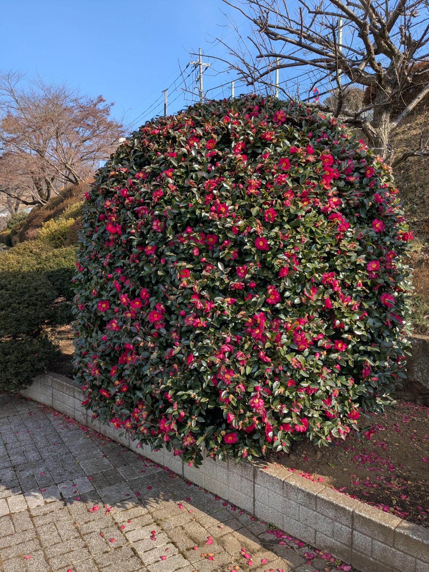 PXL_20250115_032917236