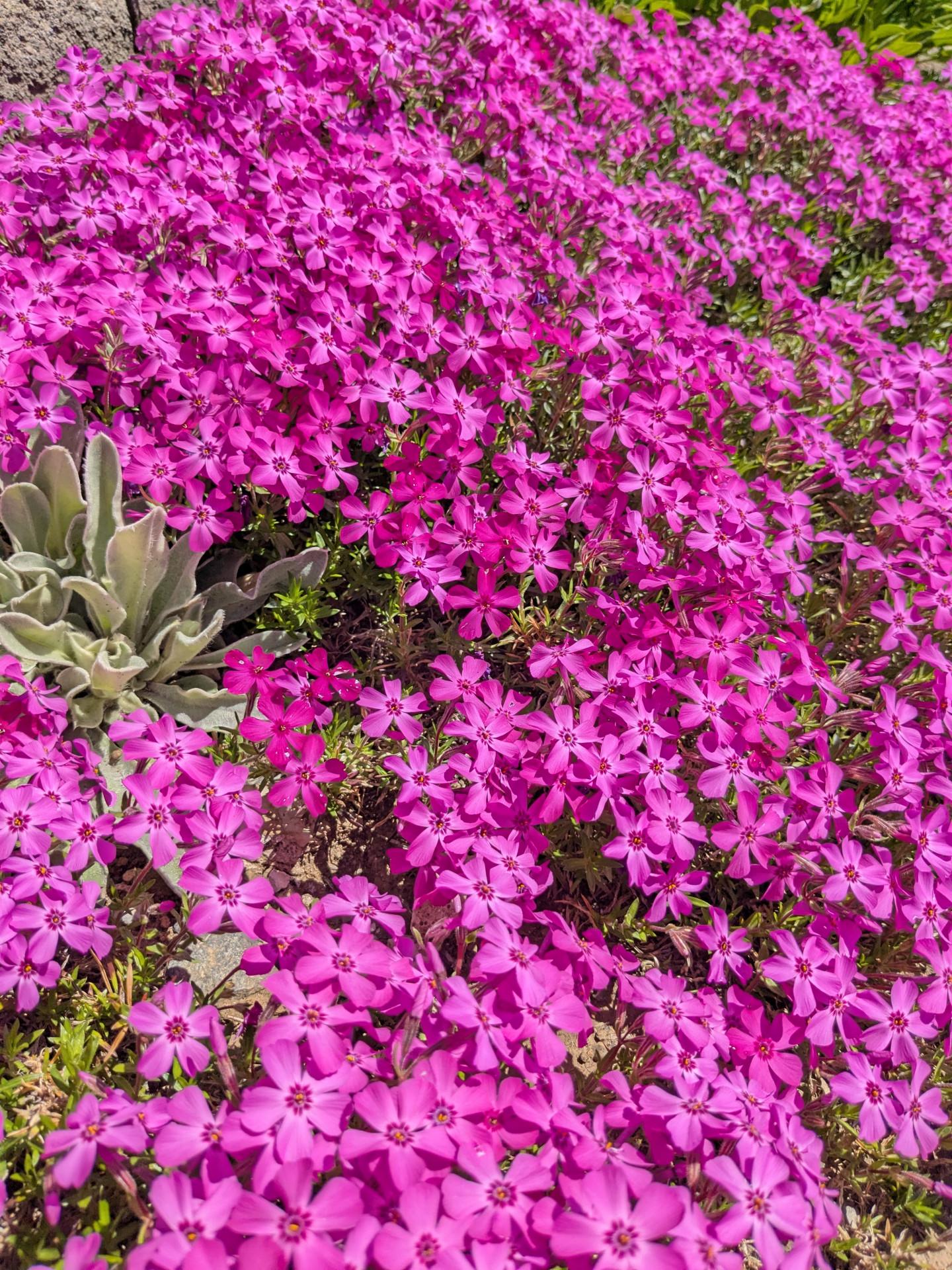 PXL_20250409_015248763