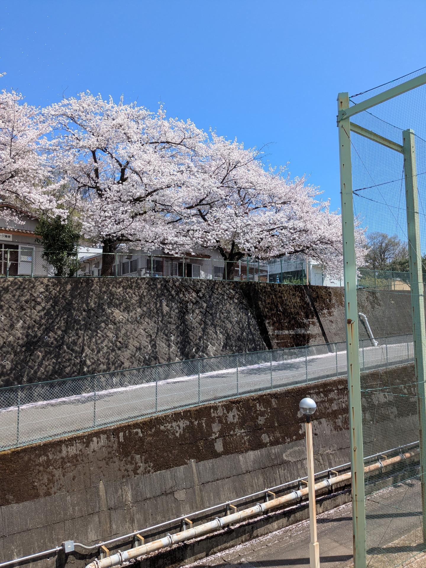 PXL_20250409_021826736