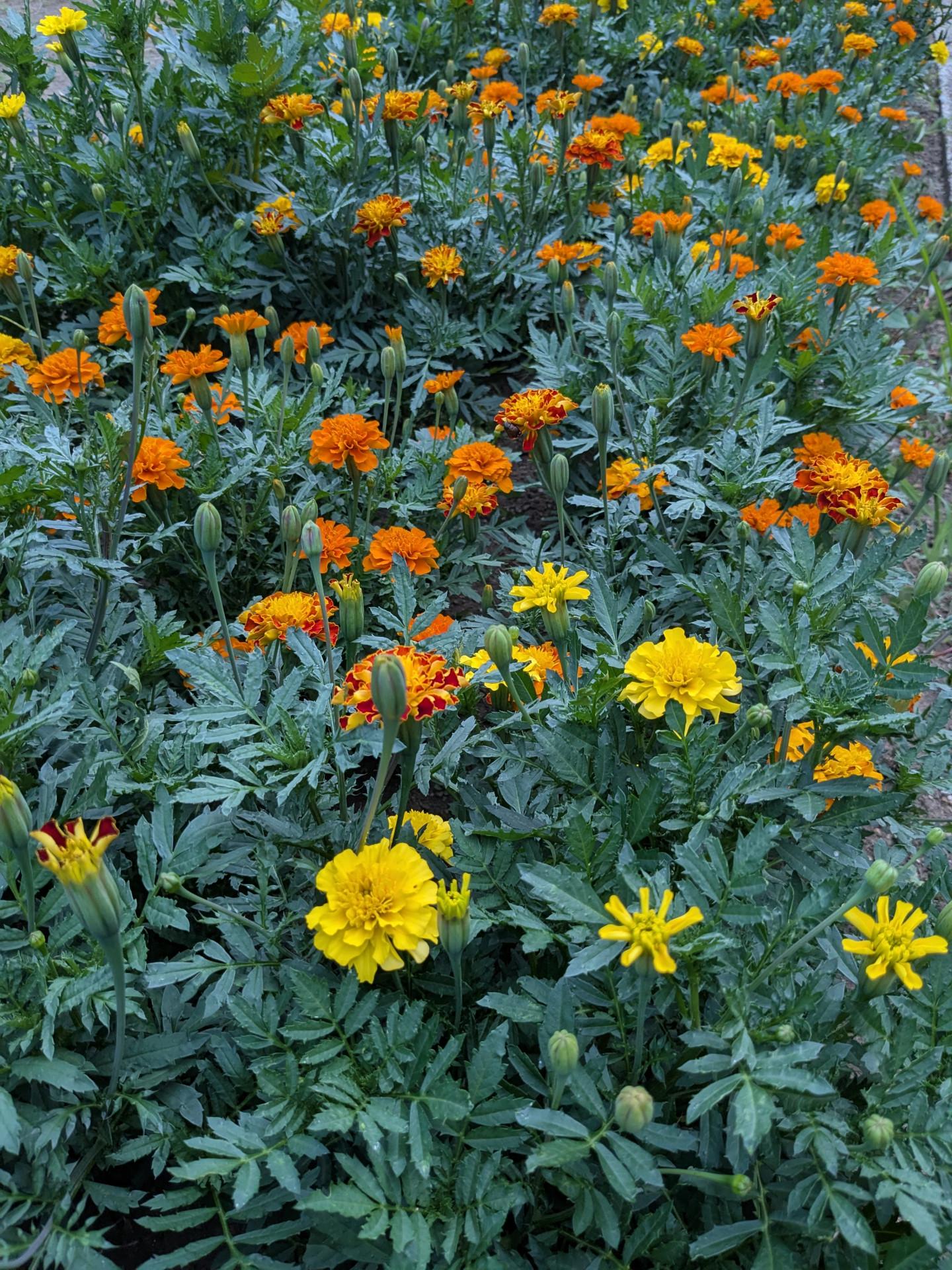 PXL_20250703_092755650