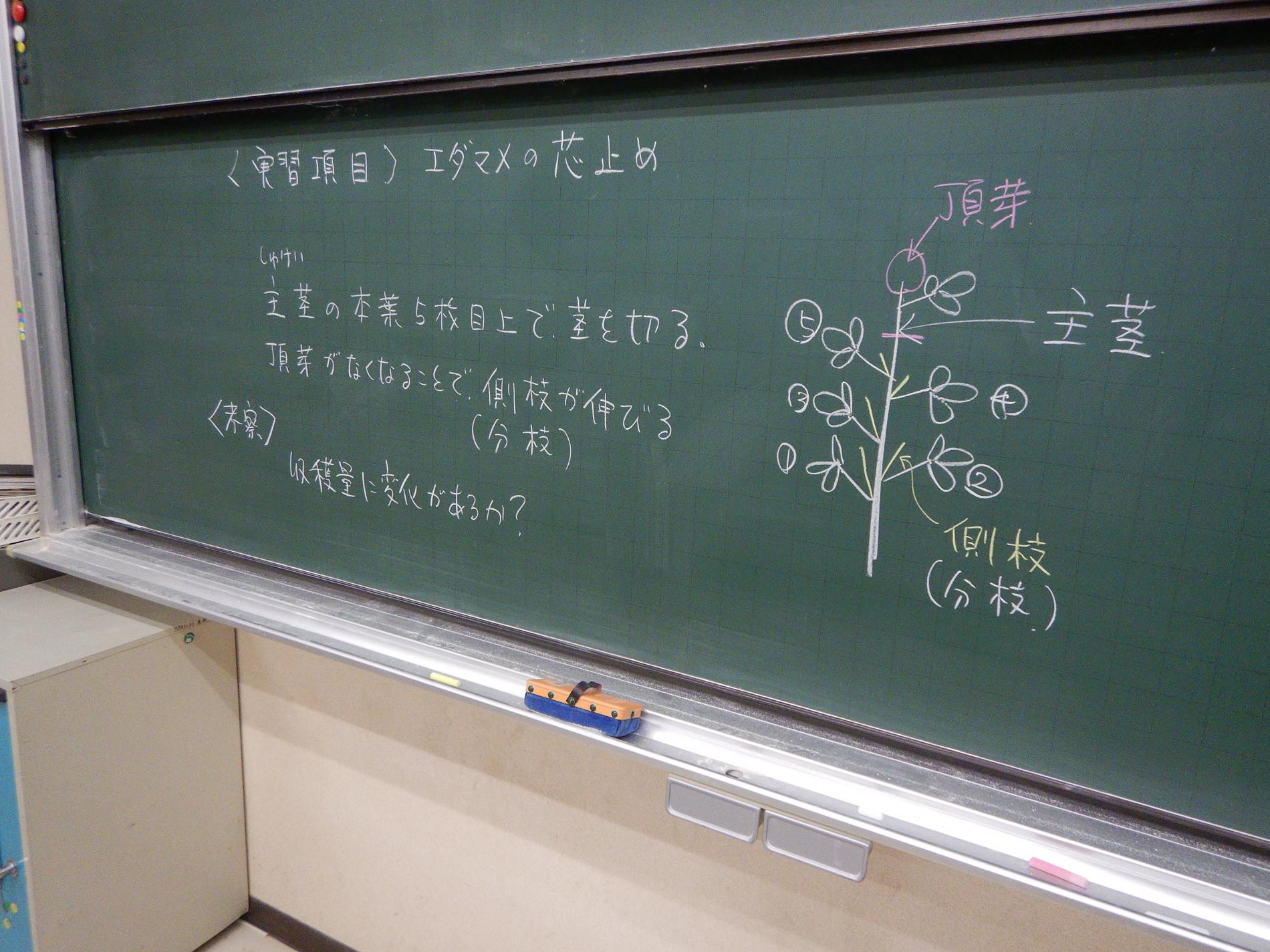 DSCN4268.JPG