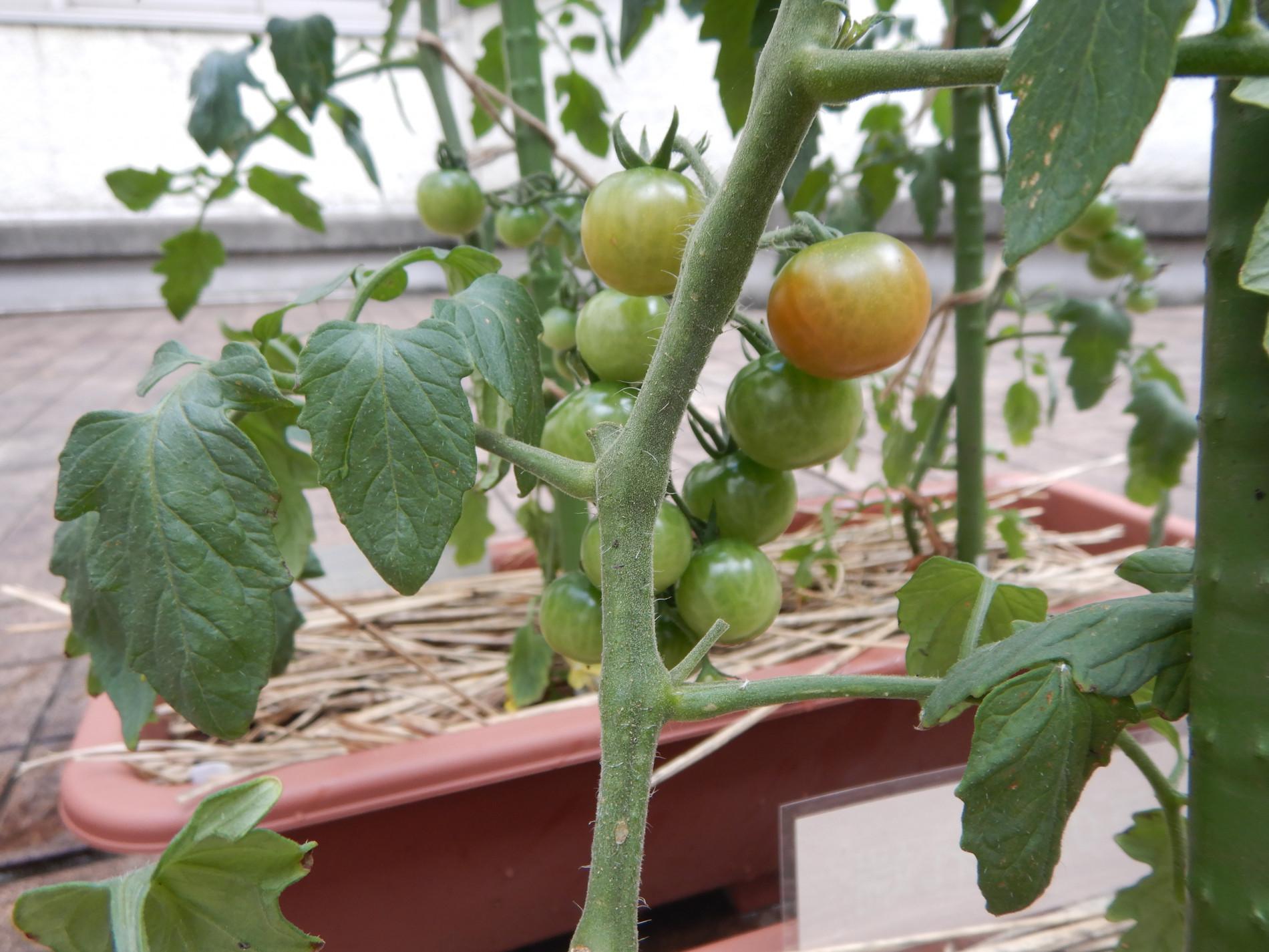 DSCN4297.JPG