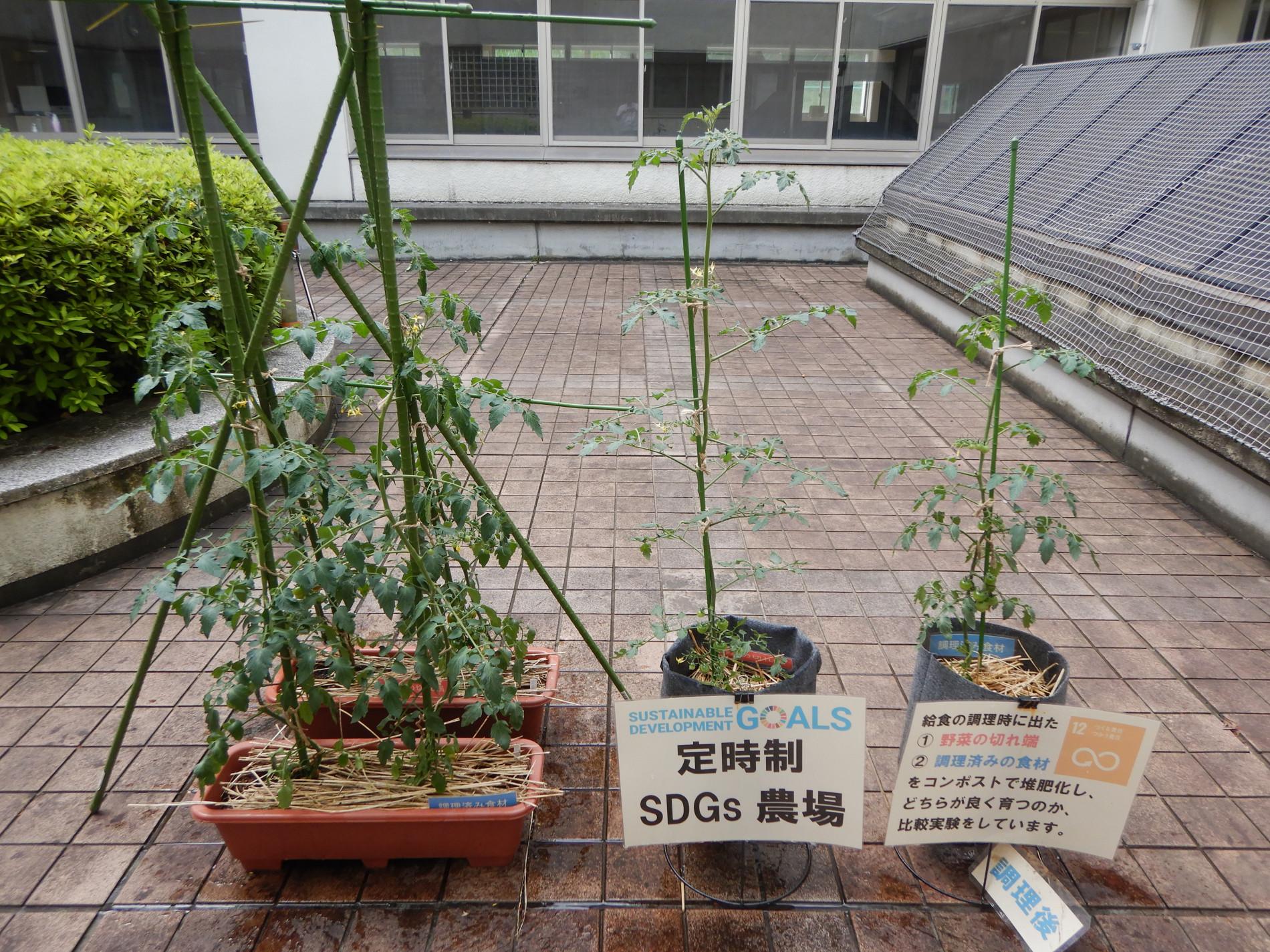 DSCN4296.JPG