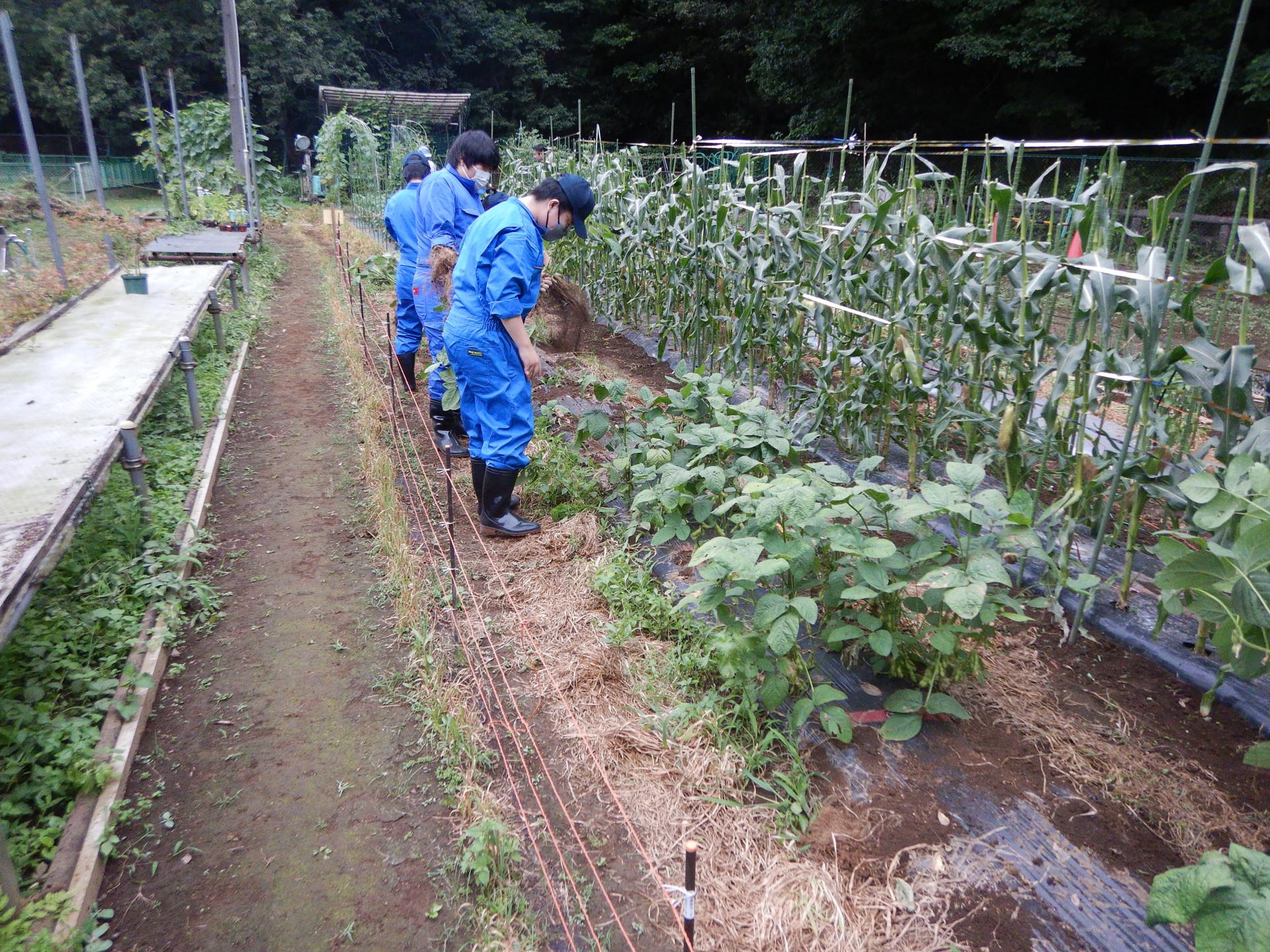 DSCN4327.JPG