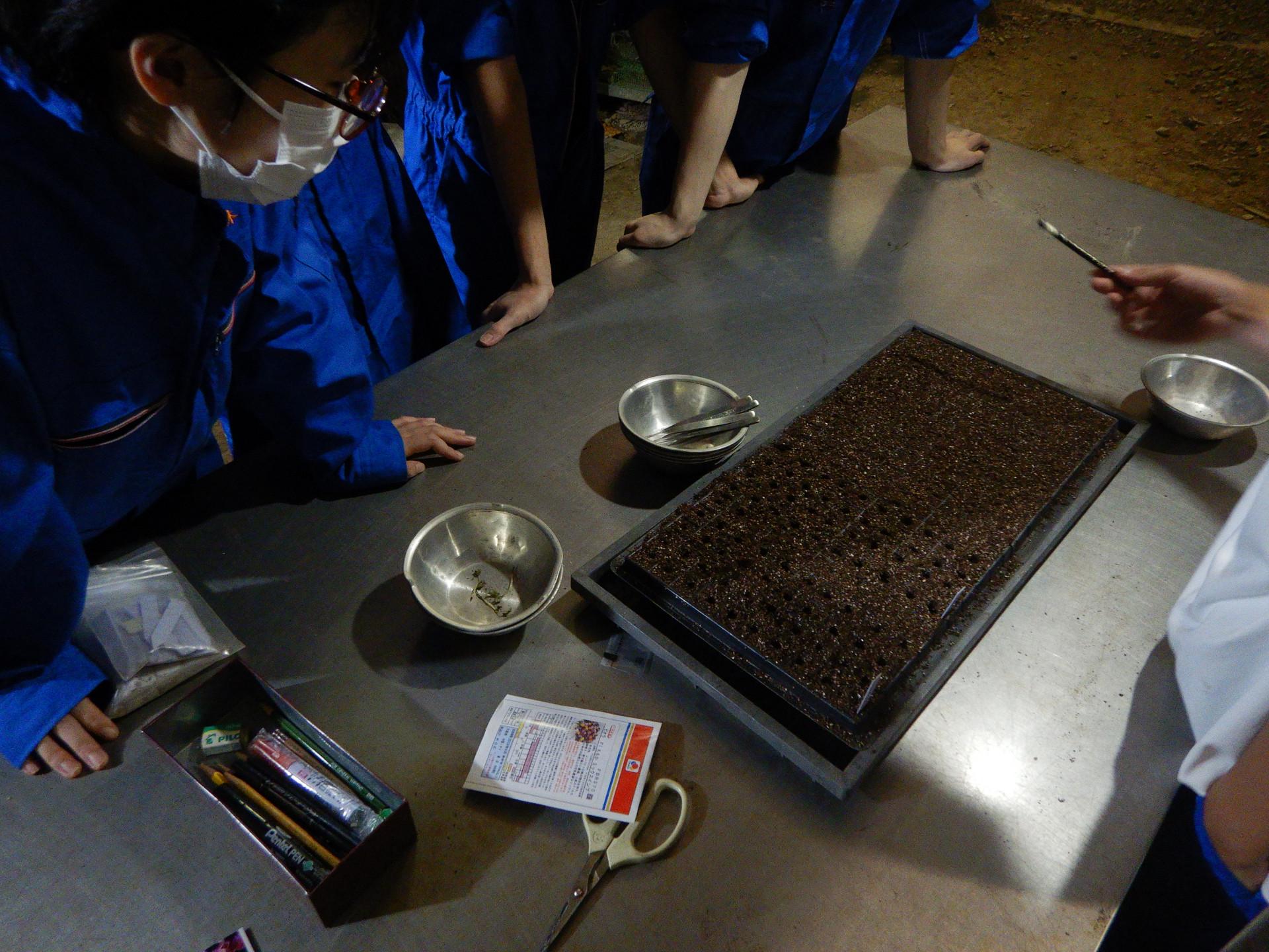 DSCN4438.JPG