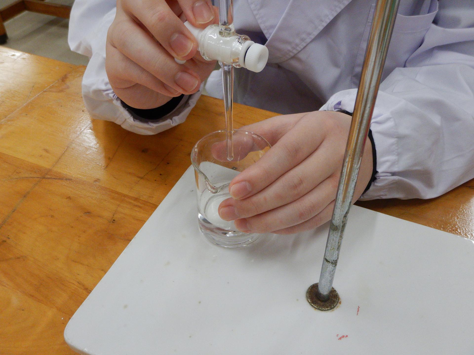 DSCN4463.JPG