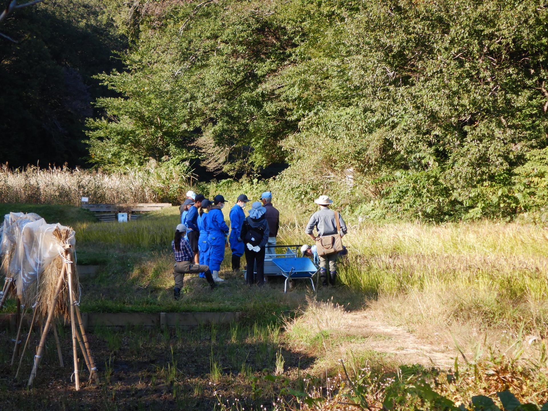 DSCN4513.JPG