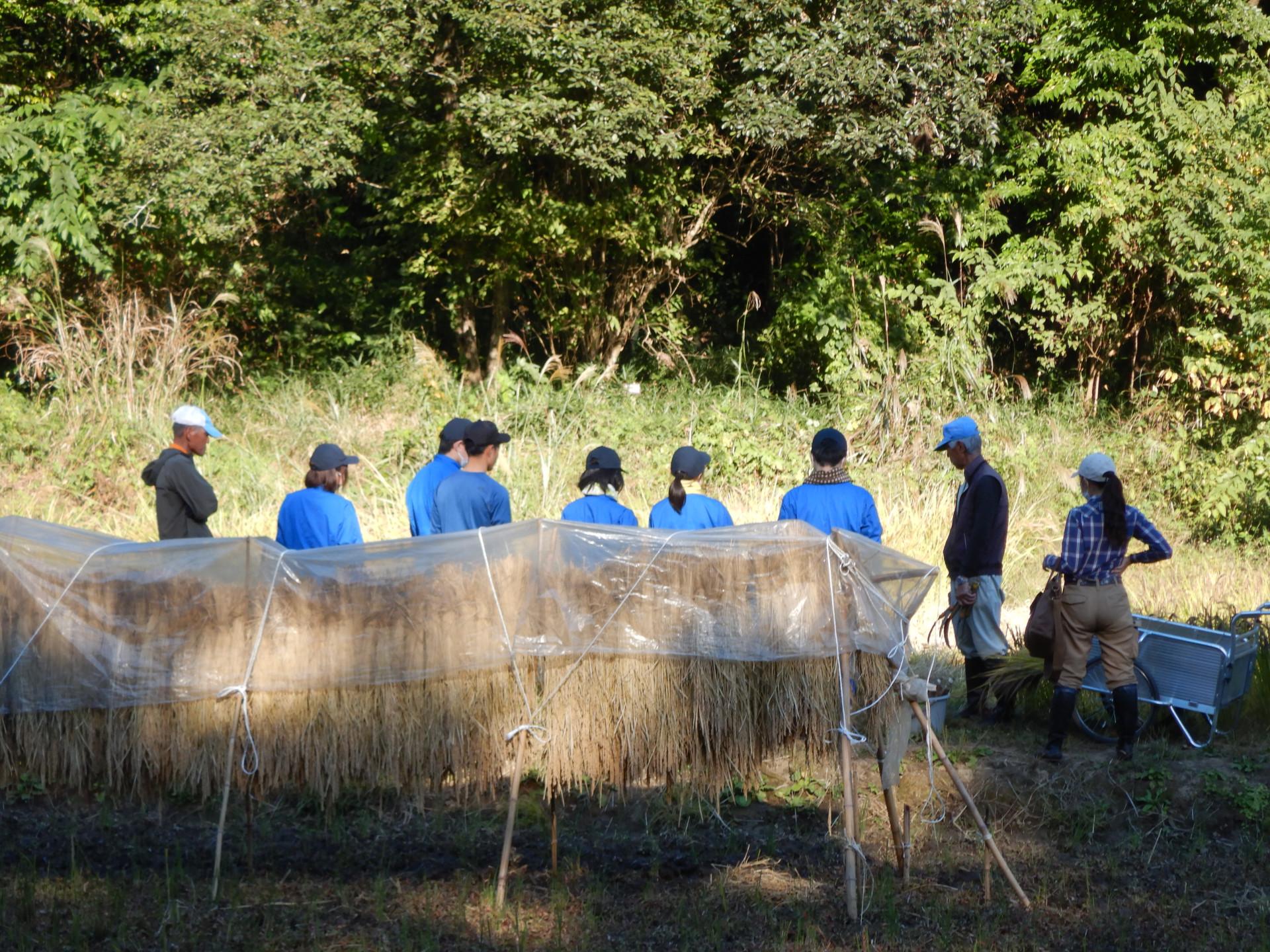 DSCN4515.JPG