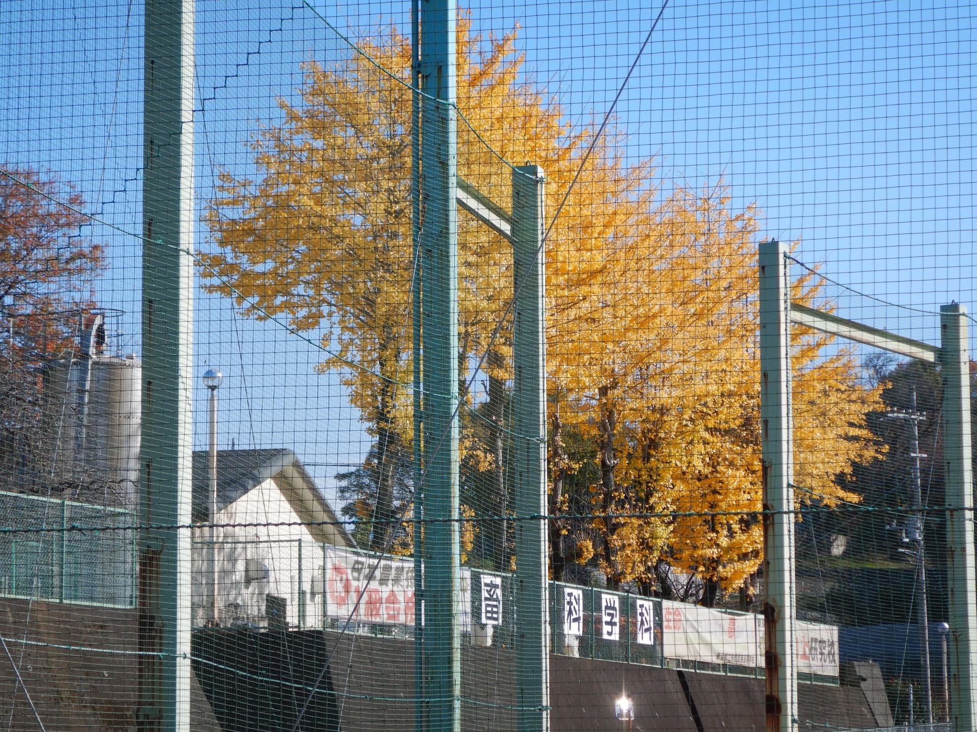 DSCN4618.JPG