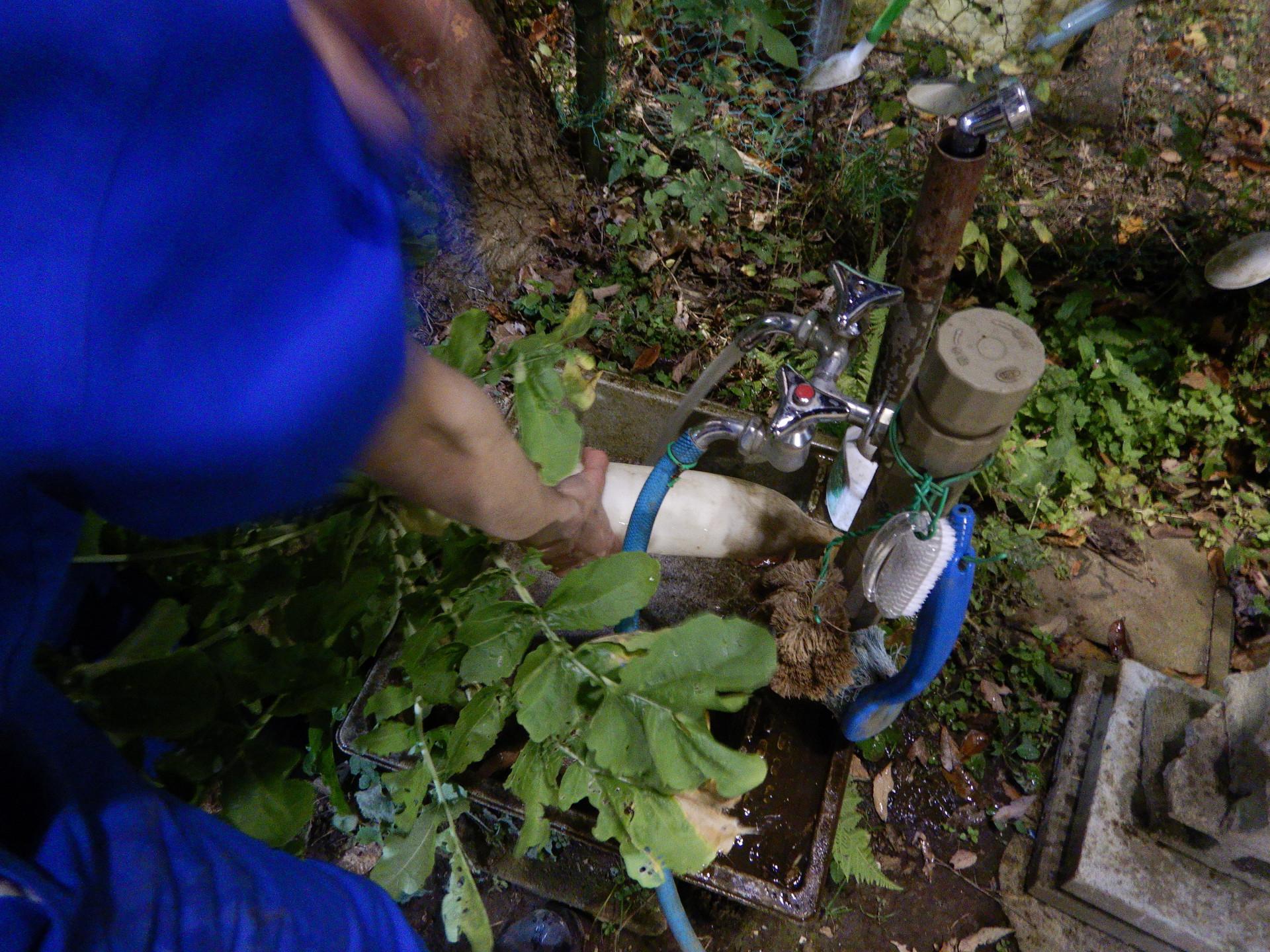 DSCN4625.JPG