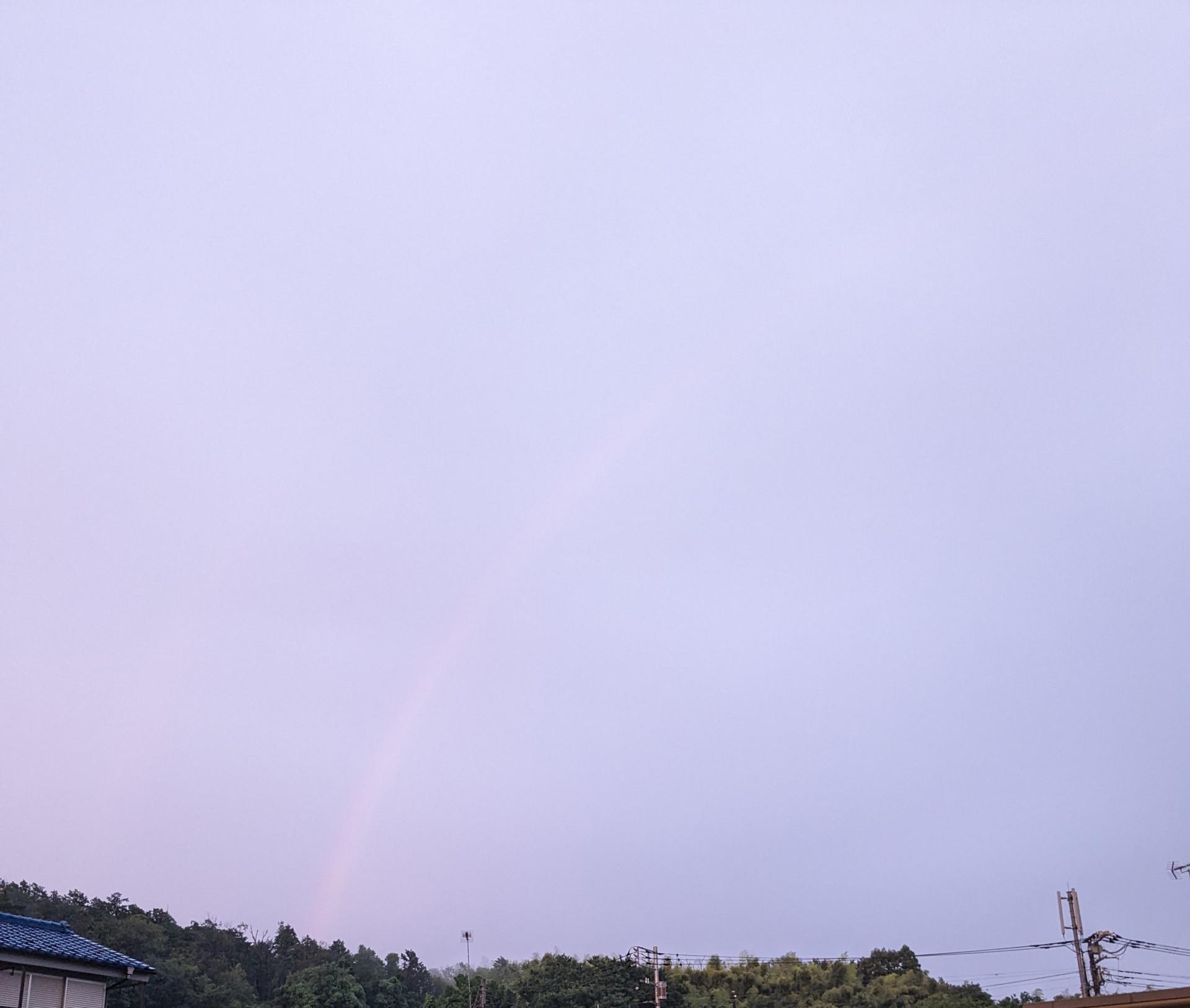 PXL_20240618_095910972
