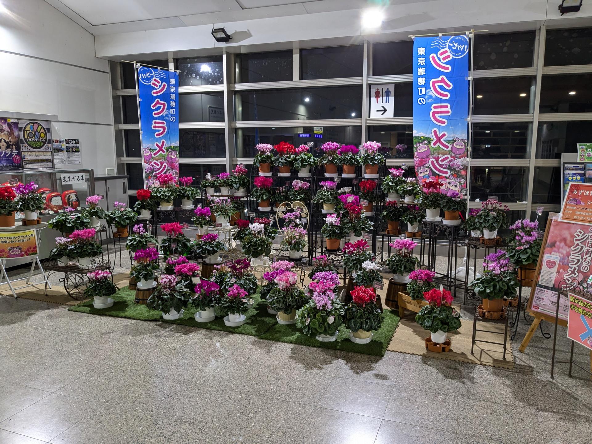 PXL_20241128_131107340