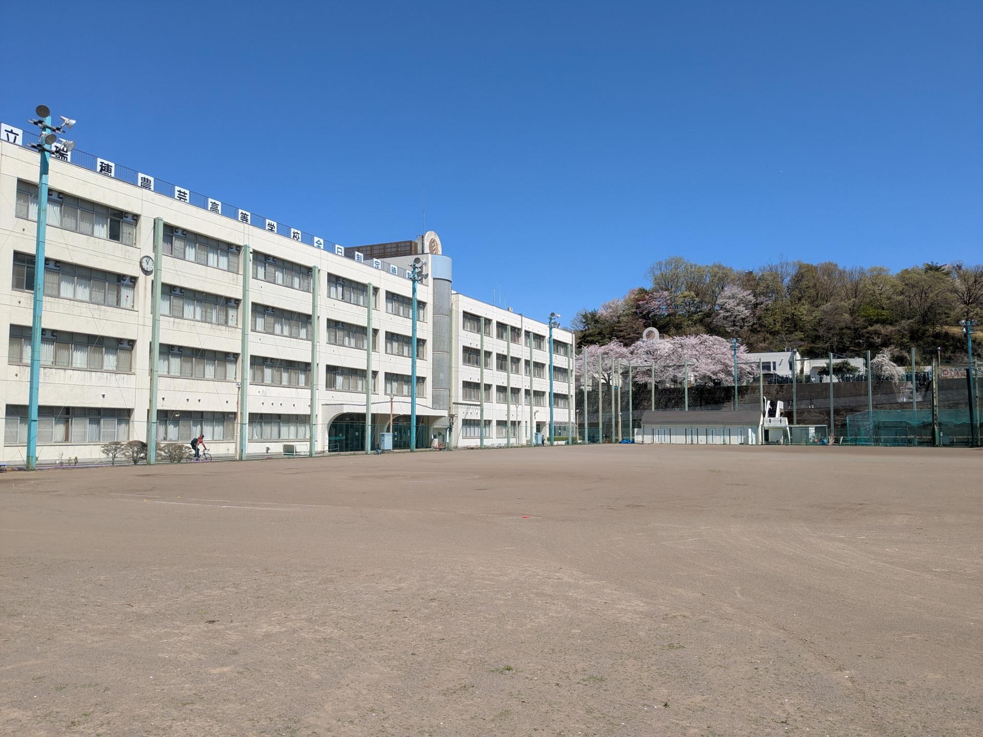 PXL_20250409_020420449