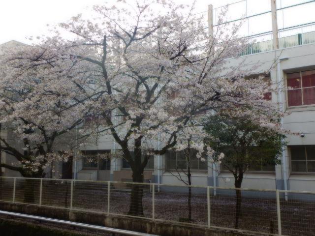 DSCN4875.JPG