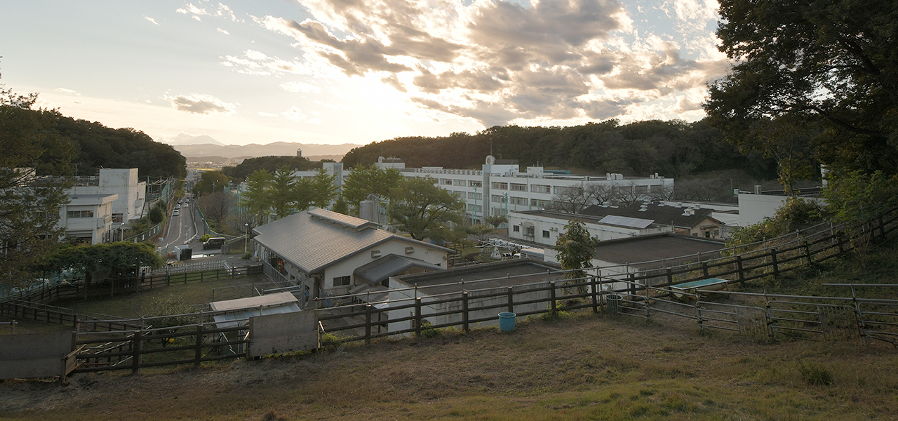 学校写真