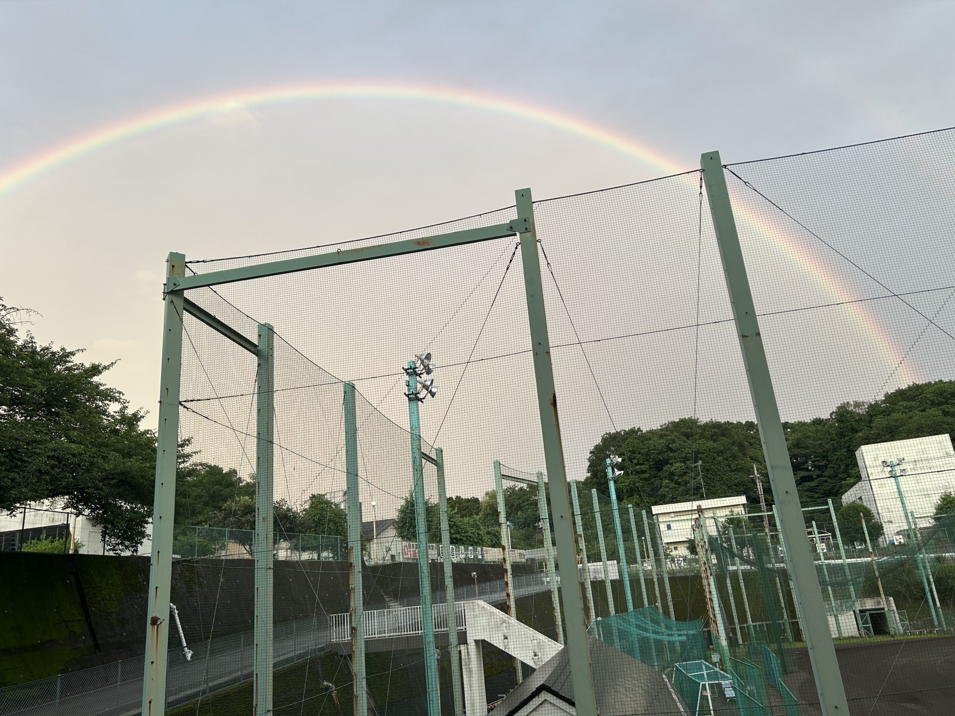 虹の架け橋