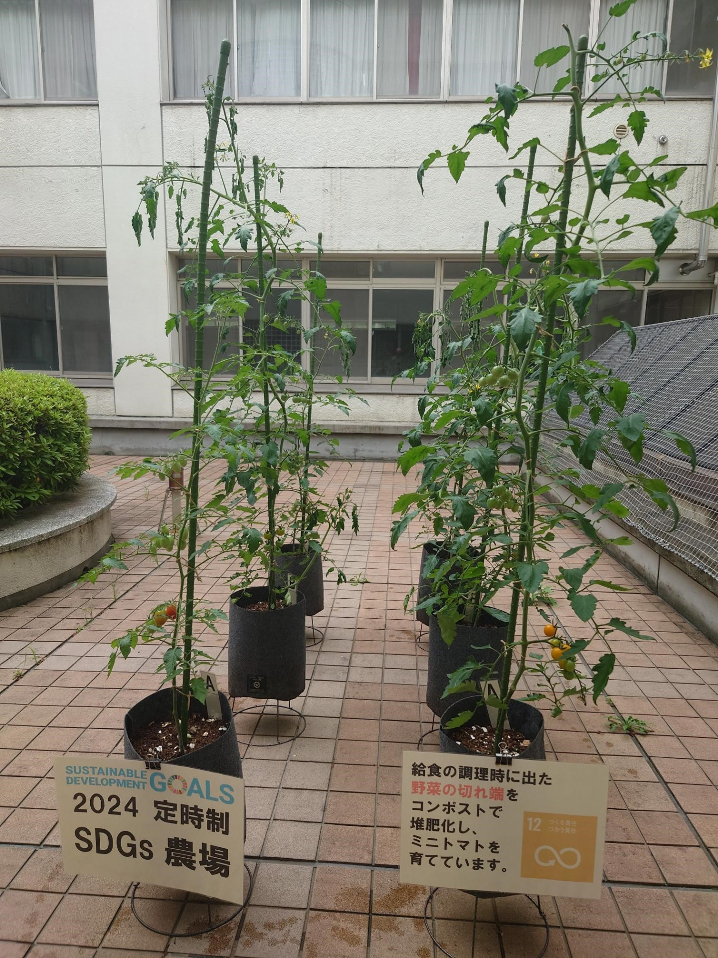 選択した写真
