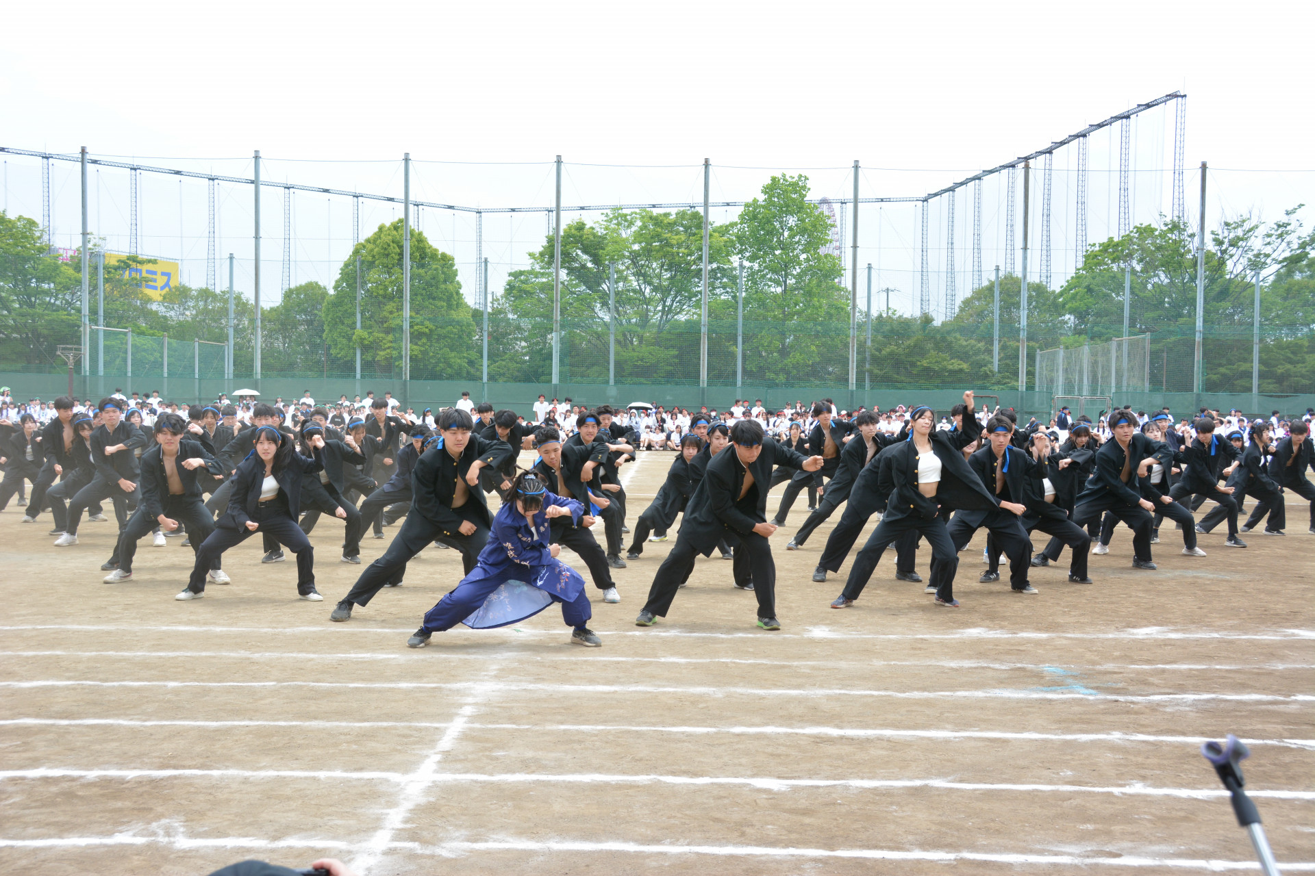 DSC_3914.JPG