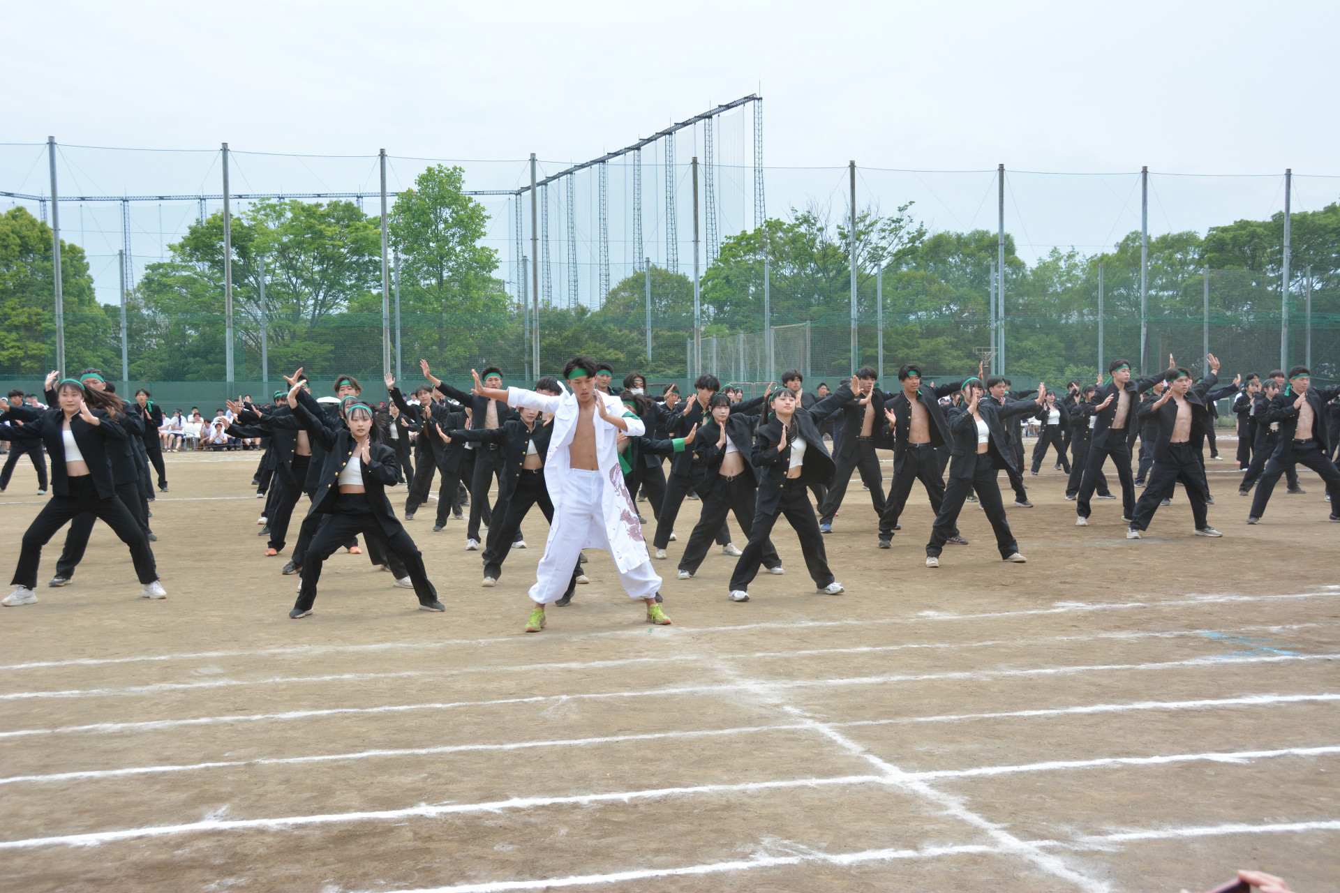 DSC_4051.JPG