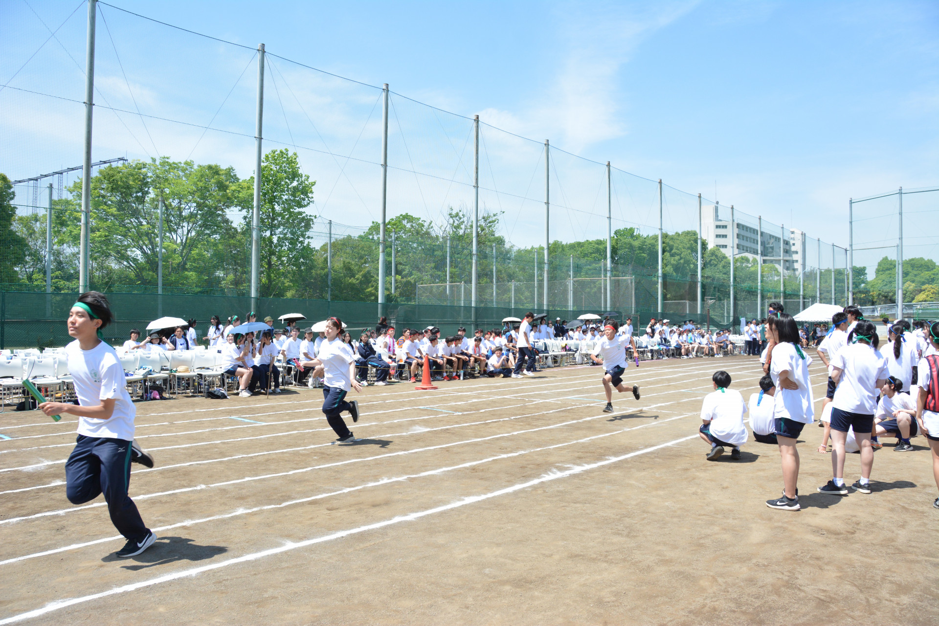 DSC_4217.JPG