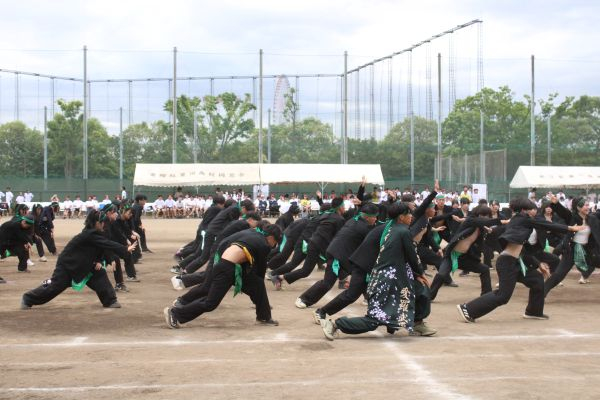 IMG_3814応援緑600.JPG