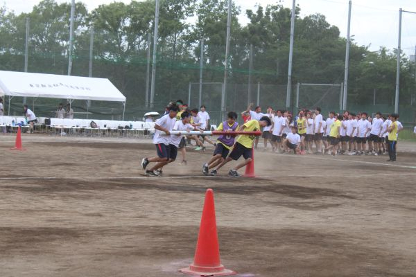 IMG_4056嵐600.JPG