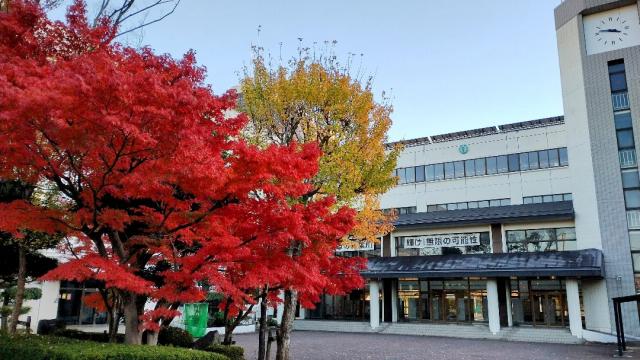 20241201momiji
