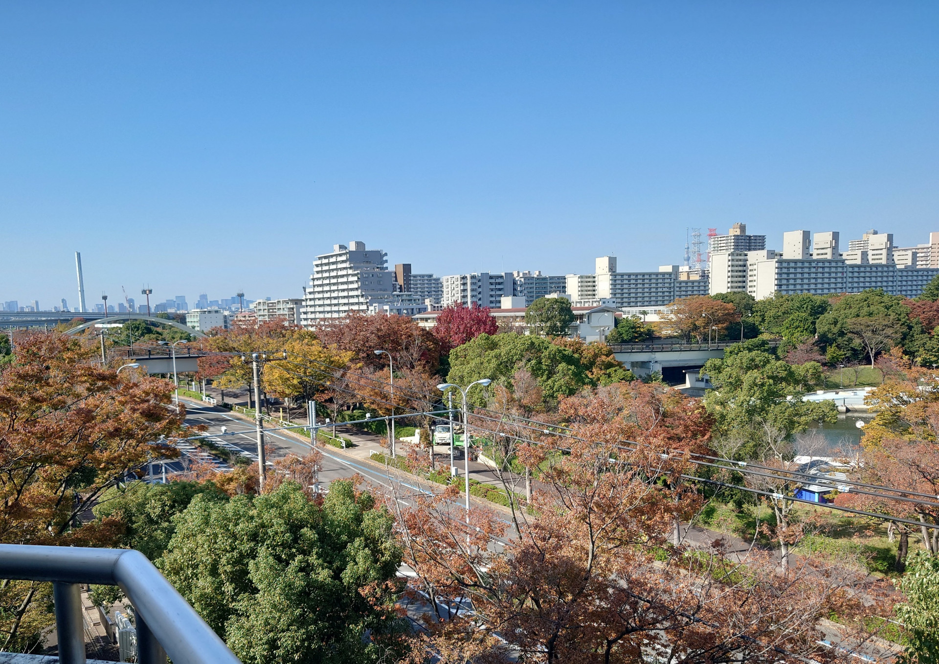紅葉（北東）.JPG