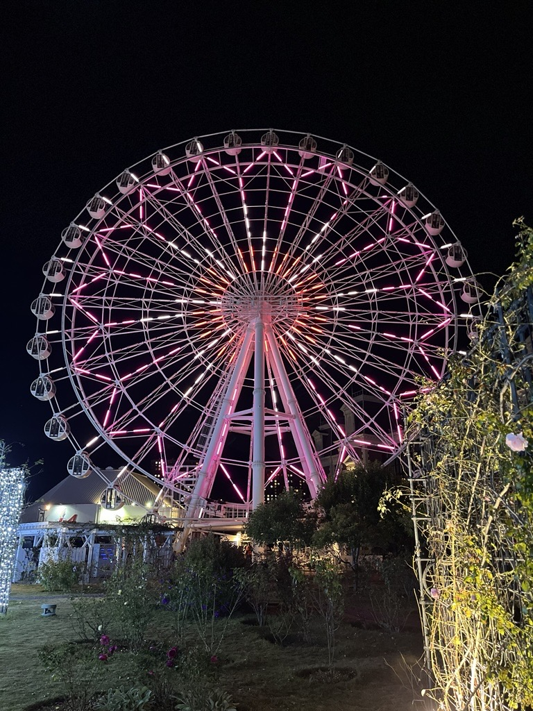 20241213_2300_4