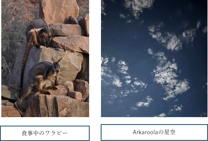 20250719_留学だより2_03