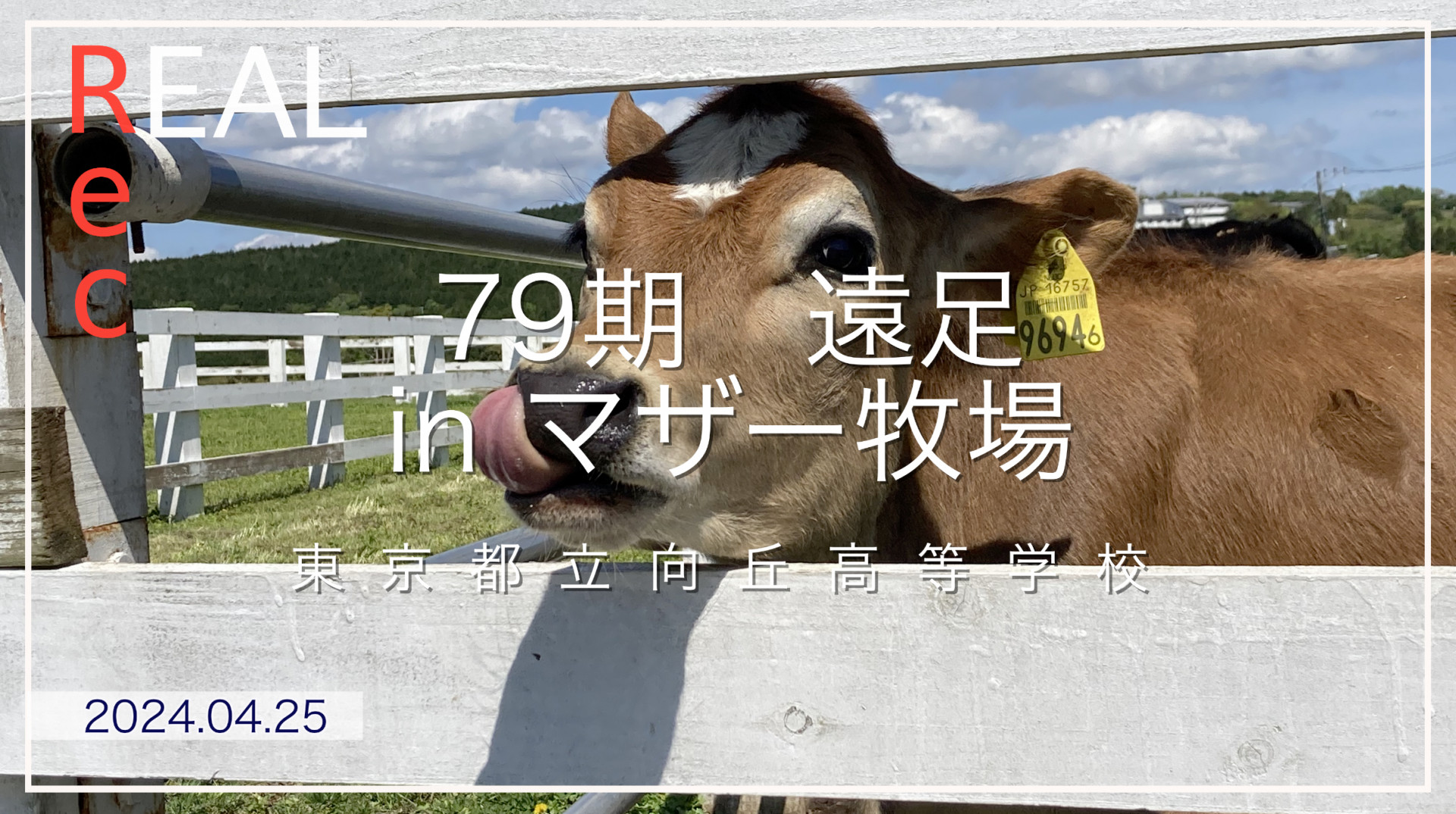 動画サムネイル
